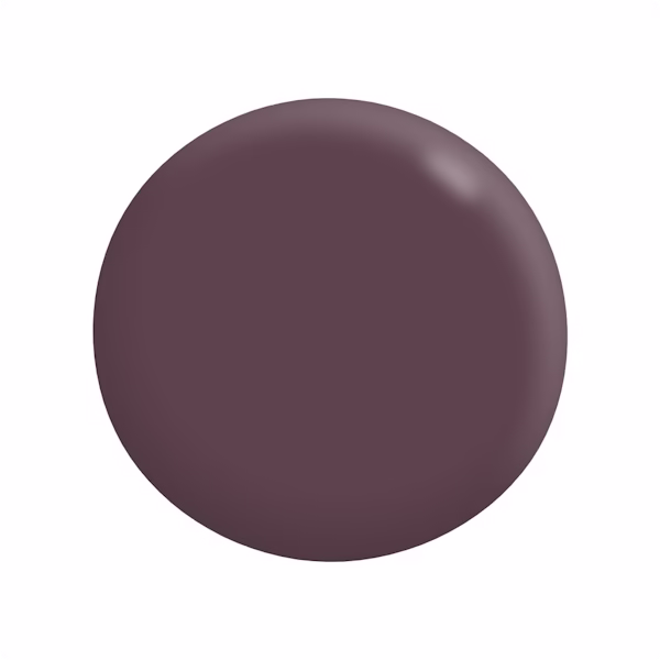 Deep plum paint swatch